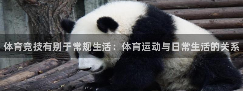 J9官网下载招商电话是多少号码：体育竞技有别于常规生