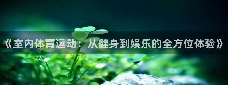 J9官方正版app代理：《室内体育运动：从健身到娱乐的全方位