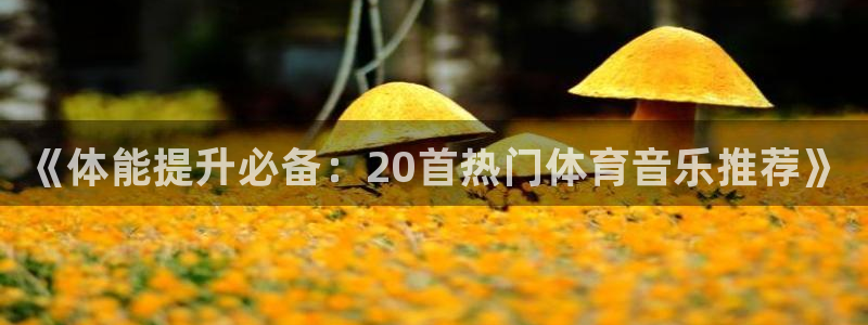 J9官方正版app娱乐下载：《体能提升必备：20首热门体育音