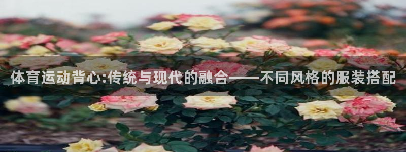 J9官网下载平台是正规平台吗：体育运动背心:传统与现