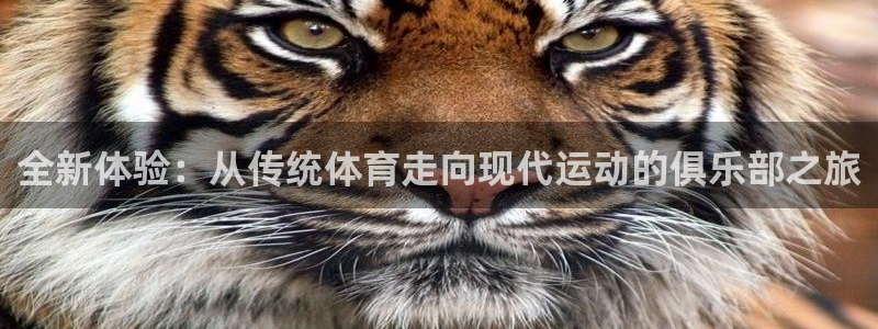 海南J9官网下载发展怎么样：全新体验：从传统体育走向