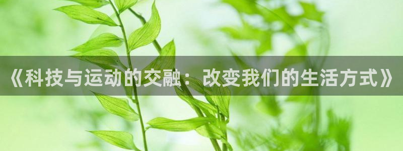J9官方正版app娱乐首页网站大全：《科技与运动的交