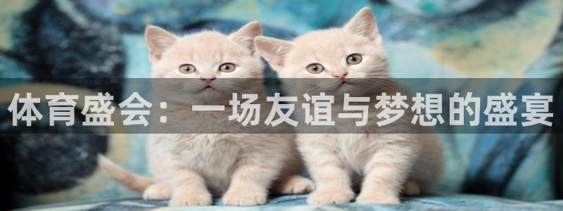 J9官方正版app五金厂：体育盛会：一场友谊与梦想的