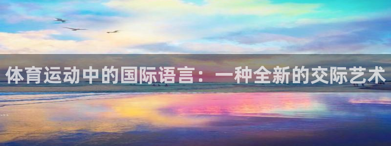 J9官方正版app娱乐代理怎么样：体育运动中的国际语