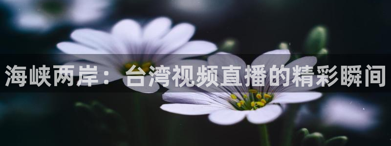 鲸鱼体育app官网版：海峡两岸：台湾视频直播的精彩瞬间