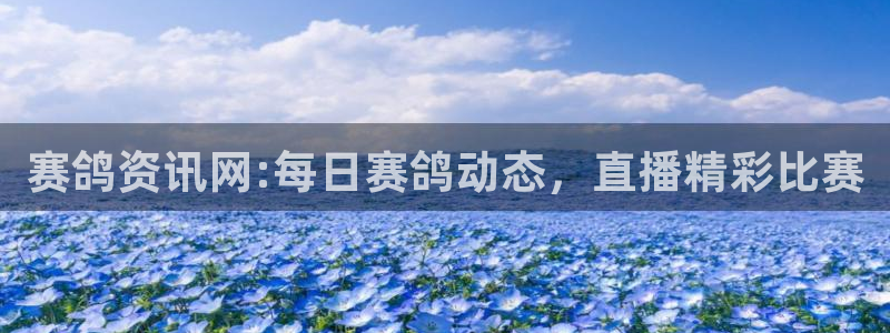 鲸鱼直播(体育直播)：赛鸽资讯网:每日赛鸽动态，直播精彩比赛