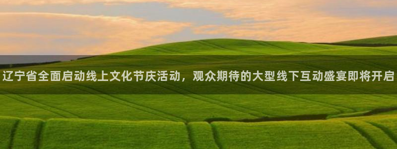 鲸鱼体育app官网版：辽宁省全面启动线上文化节庆活动，观众期待的大型线下互动盛宴即将开启