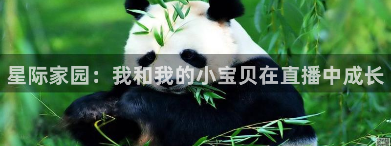 鲸鱼体育tv：星际家园：我和我的小宝贝在直播中成长