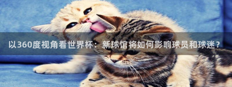 鲸鱼体育免费观看官网：以360度视角看世界杯：新球馆将如何影响球员和球迷？