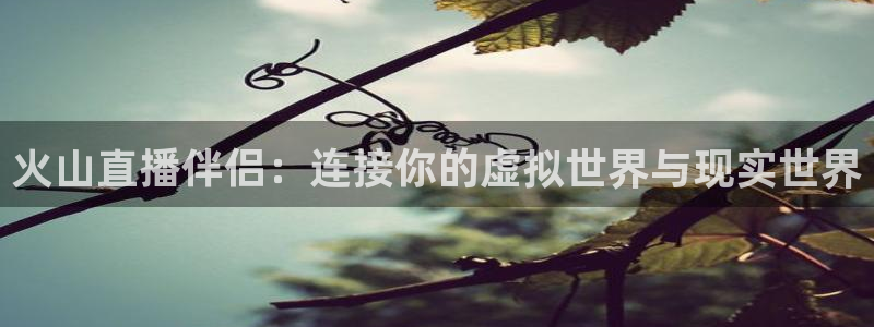 鲸鱼直播体育直播：火山直播伴侣：连接你的虚拟世界与现实世界