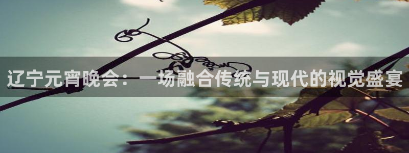 鲸鱼篮球直播：辽宁元宵晚会：一场融合传统与现代的视觉盛宴