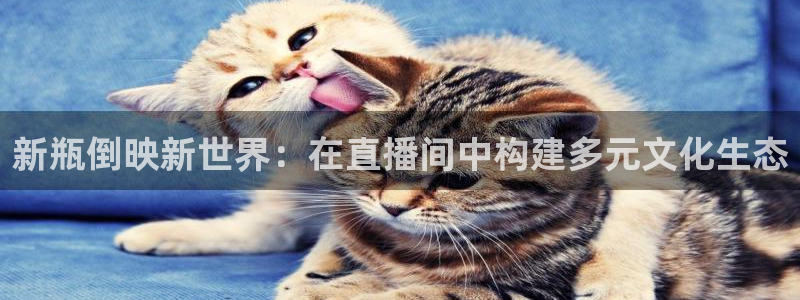 鲸鱼体育直播app免费下载：新瓶倒映新世界：在直播间中构建多元文化生态