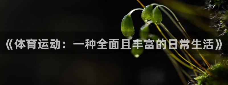 J9官方正版app官方：《体育运动：一种全面且丰富的日常生活