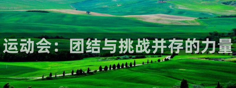 J9官方正版app五金厂