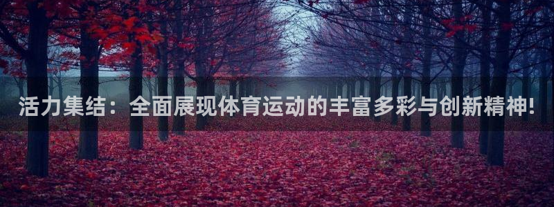 J9官网下载招商电话是多少号码：活力集结：全面展现体育运动的