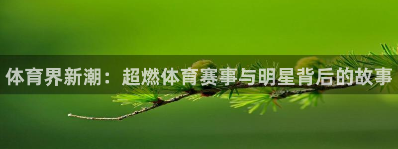 J9官方正版app娱乐40996：体育界新潮：超燃体育赛事与