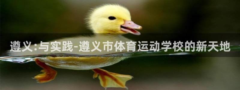 J9官网下载平台假的吗是真的吗吗：遵义:与实践-遵义市体育运