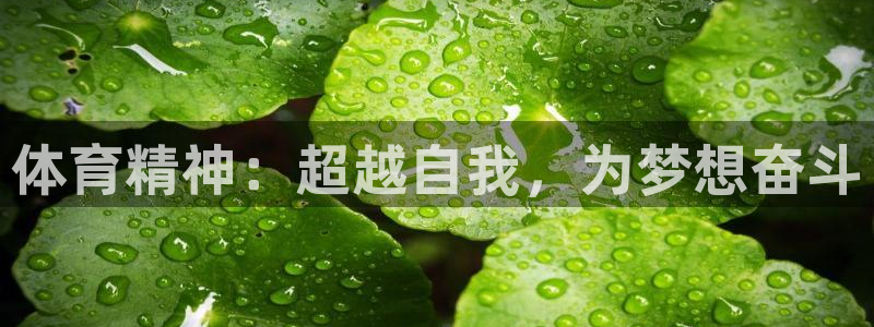 J9官方正版app代理：体育精神：超越自我，为梦想奋斗
