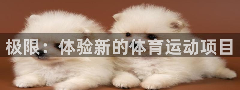 J9官方正版app官网