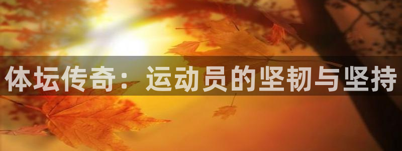 J9官网下载平台注册：体坛传奇：运动员的坚韧与坚持