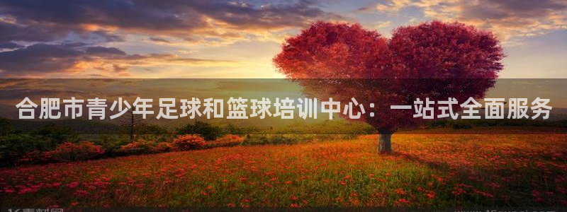 注册J9官方正版app：合肥市青少年足球和篮球培训中心：一站