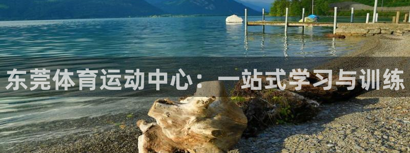 J9官网下载娱乐：东莞体育运动中心：一站式学习与训练