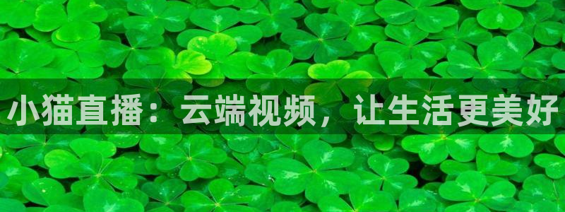 鲸鱼体育直播在线观看：小猫直播：云端视频，让生活更美好
