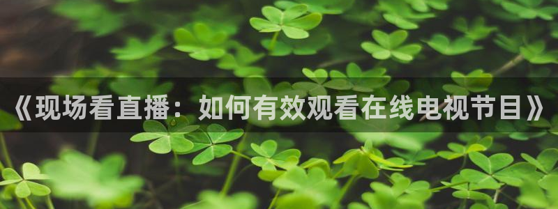鲸鱼体育直播：《现场看直播：如何有效观看在线电视节目》