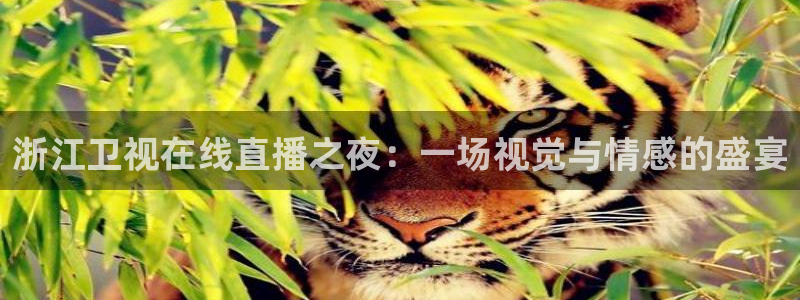 鲸鱼体育头狼直播间：浙江卫视在线直播之夜：一场视觉与情感的盛宴