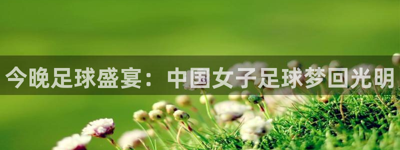 鲸鱼体育怎么免费看：今晚足球盛宴：中国女子足球梦回光明
