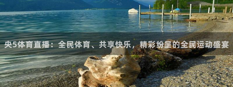 足球鲸鱼直播：央5体育直播：全民体育、共享快乐，精彩纷呈的全民运动盛宴