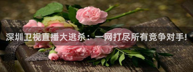 jytv鲸鱼体育直播：深圳卫视直播大逃杀：一网打尽所有竞争对手!