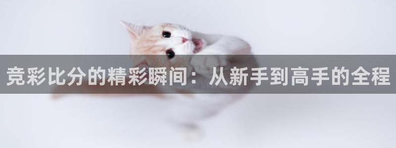 鲸鱼直播(体育直播)：竞彩比分的精彩瞬间：从新手到高手的全程