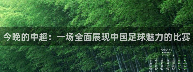 鲸鱼体育直播免费：今晚的中超：一场全面展现中国足球魅力的比赛
