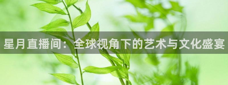蓝鲸鱼直播：星月直播间：全球视角下的艺术与文化盛宴