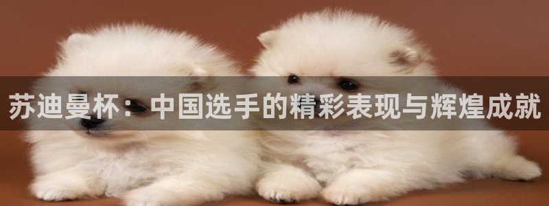 鲸鱼体育app免费下载：苏迪曼杯：中国选手的精彩表现与辉煌成就
