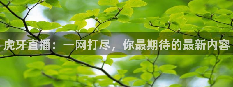 鲸鱼免费体育直播：虎牙直播：一网打尽，你最期待的最新内容