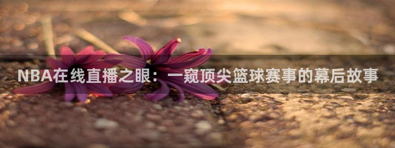 鲸鱼体育免费观看：NBA在线直播之眼：一窥顶尖篮球赛事的幕后故事